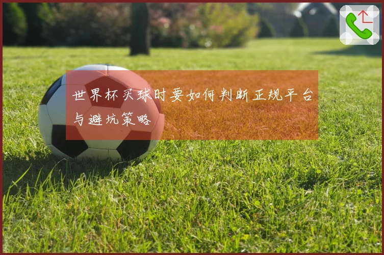 世界杯买球时要如何判断正规平台与避坑策略