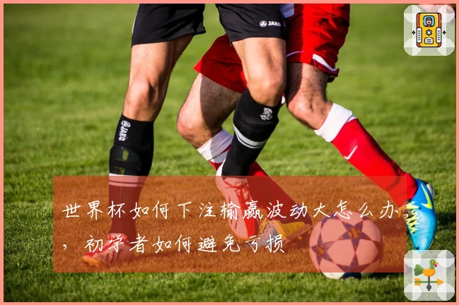 世界杯如何下注输赢波动大怎么办，初学者如何避免亏损