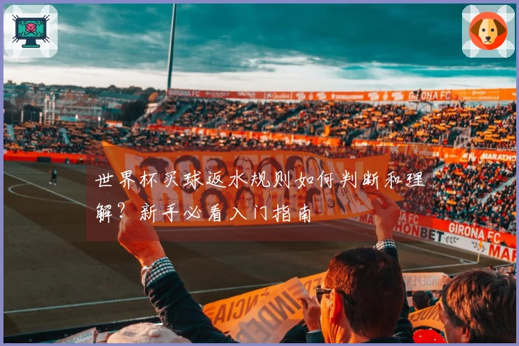 世界杯买球返水规则如何判断和理解?新手必看入门指南