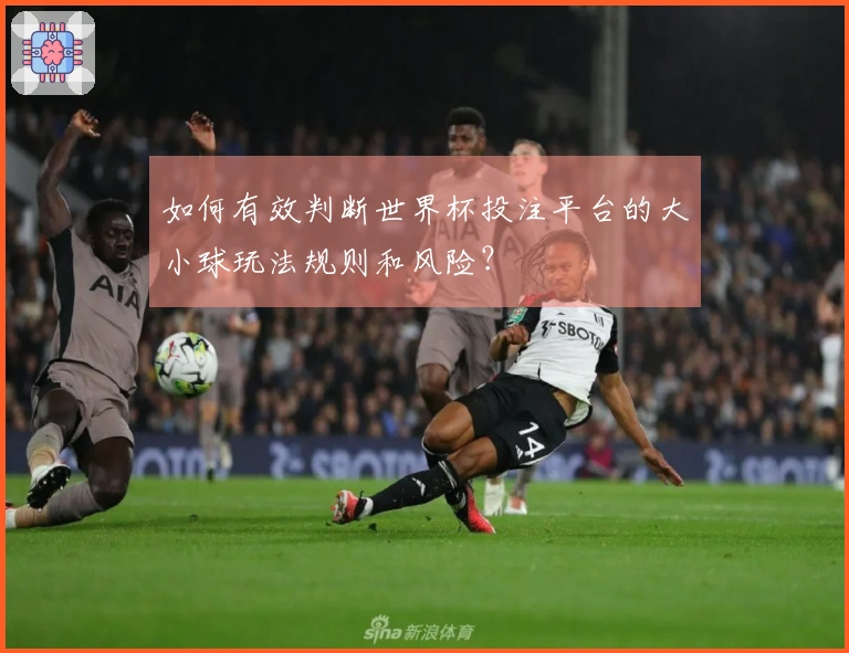 如何有效判断世界杯投注平台的大小球玩法规则和风险？