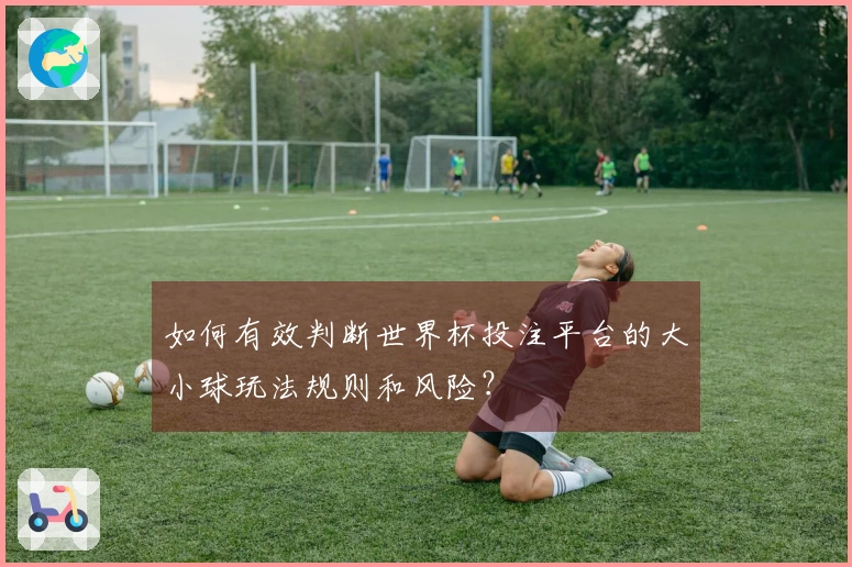 如何有效判断世界杯投注平台的大小球玩法规则和风险?